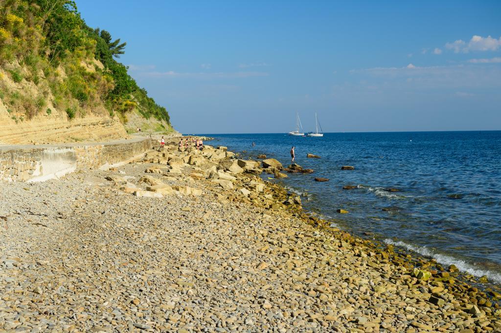 Guesthouse Opara Piran Exterior photo